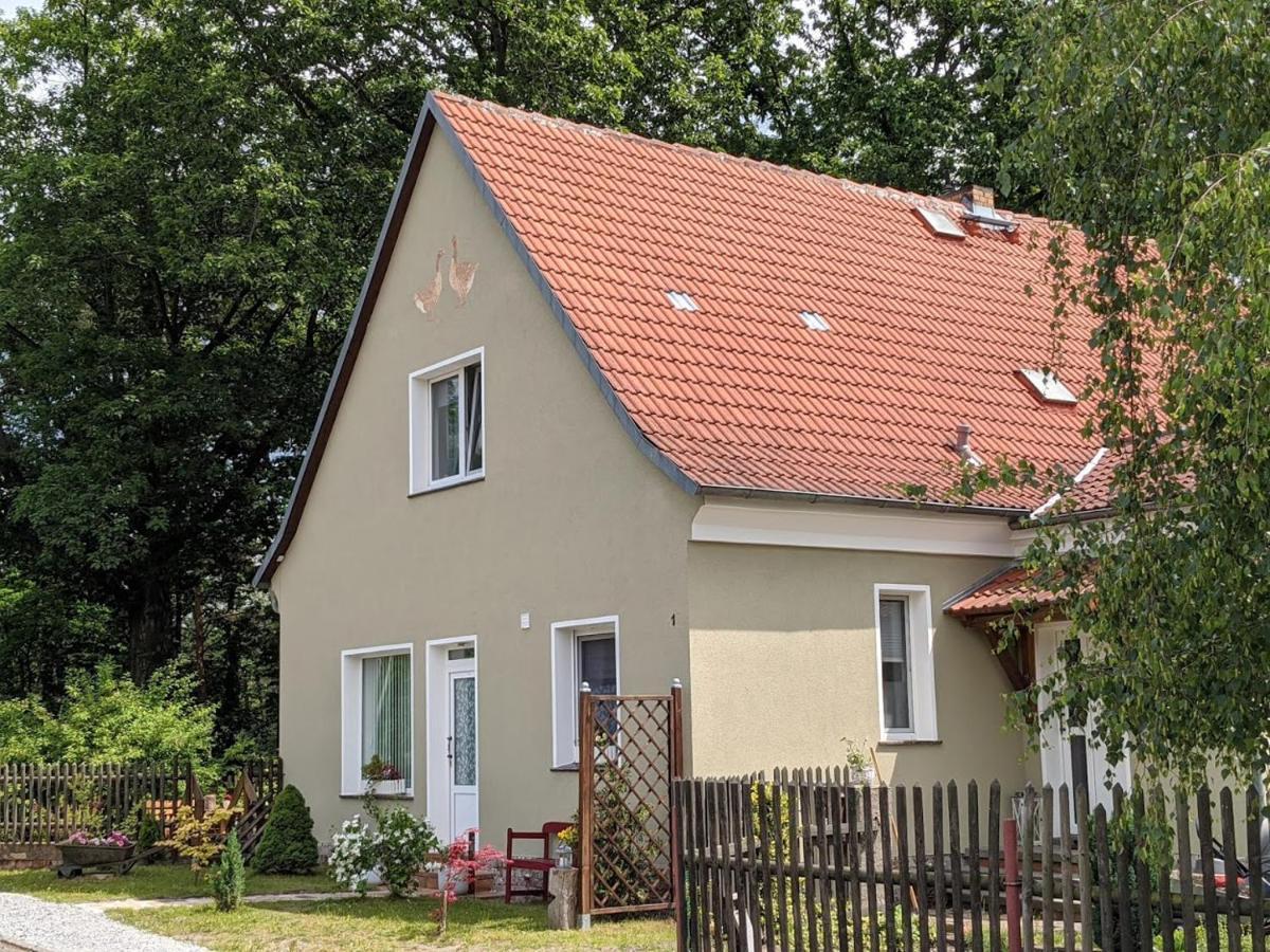 Helenes Auf Dem Bauernhof - Lausitzer Seenland Lauta